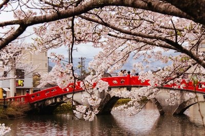 🏞️ 베니토리오카 공원 이미지 6